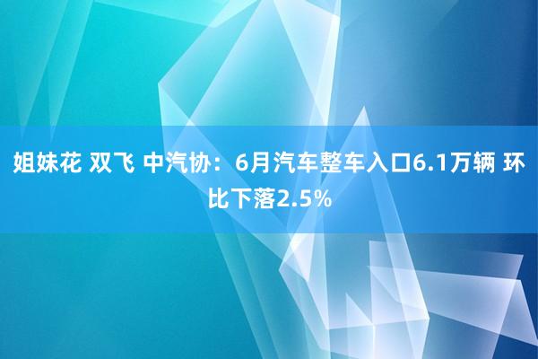 姐妹花 双飞 中汽协：6月汽车整车入口6.1万辆 环比下落2.5%