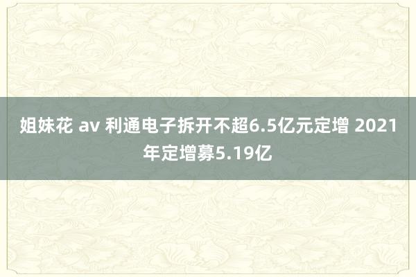 姐妹花 av 利通电子拆开不超6.5亿元定增 2021年定增募5.19亿