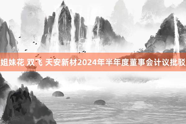 姐妹花 双飞 天安新材2024年半年度董事会计议批驳