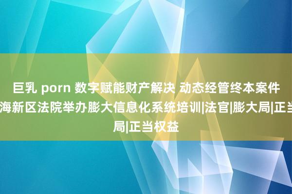 巨乳 porn 数字赋能财产解决 动态经管终本案件——滨海新区法院举办膨大信息化系统培训|法官|膨大局|正当权益